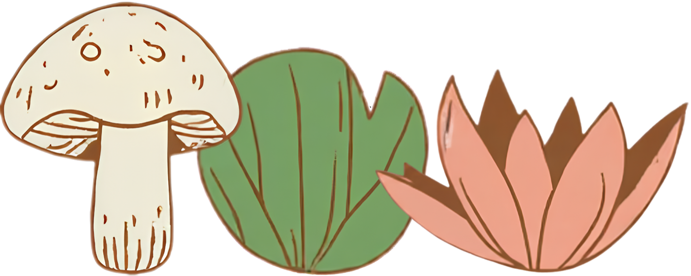 The AJITEU trio: a cream mushroom, a green lily pad and a coral lotus